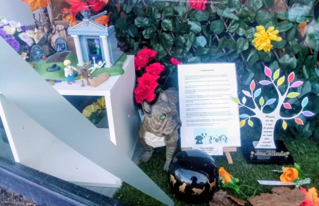 Urne chien chat Urne chien chat